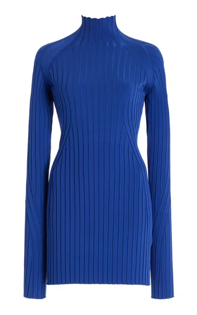 High Sport Kat Ribbed-knit Turtleneck Top In Blue