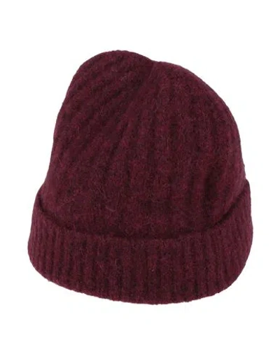 High Woman Hat Burgundy Size Onesize Nylon, Wool, Alpaca Wool, Elastane In Red