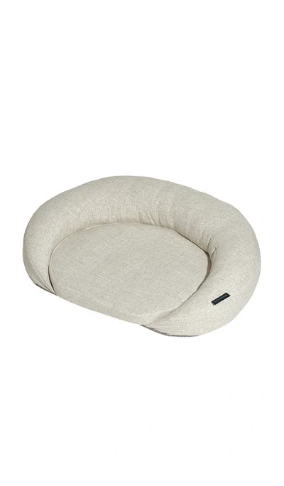 Higherdose Infrared Pemf Small Pet Bed In Transparent