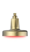 Higherdose Red Light Shower Filter In Gold
