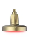 Higherdose Red Light Shower Filter In Gold