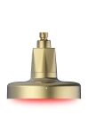 Higherdose Red Light Shower Filter In Gold