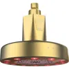 Higherdose Red Light Shower Filter In Gold