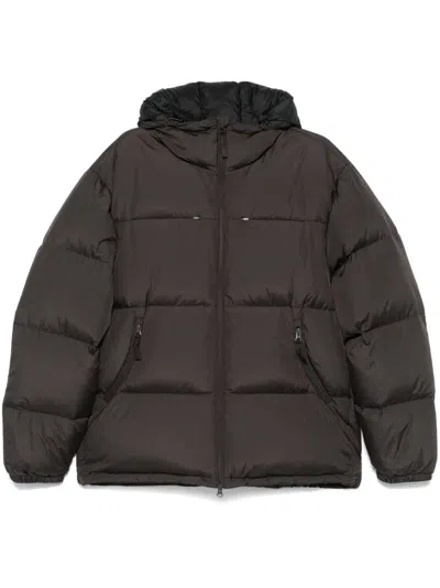 Hiking Patrol Padded Jacket In Dark Brown