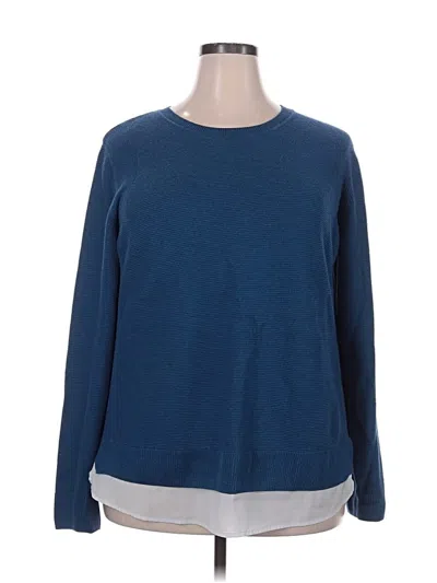Pre-owned Hilary Radley Pullover Sweater In Blue