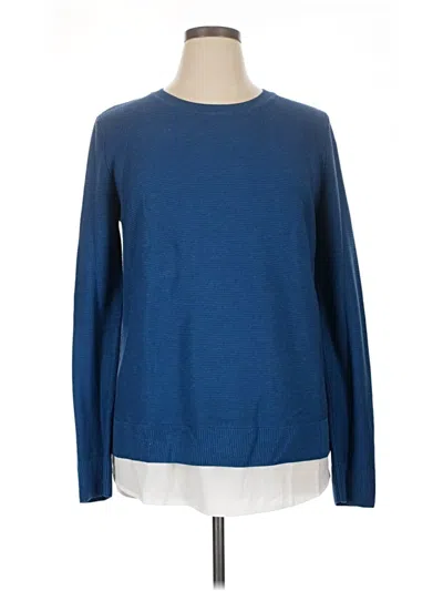 Pre-owned Hilary Radley Pullover Sweater In Blue