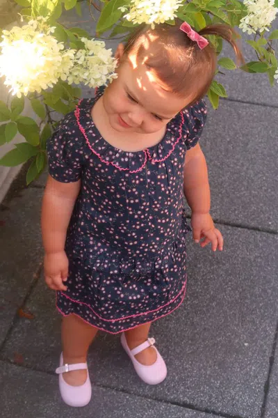 Hill House Home The Tiny Denver Top In Daisy Ditsy Toss Navy