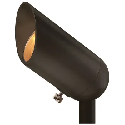 Hinkley 3 1/4" High Bronze 4w Spot Light By  Lighting