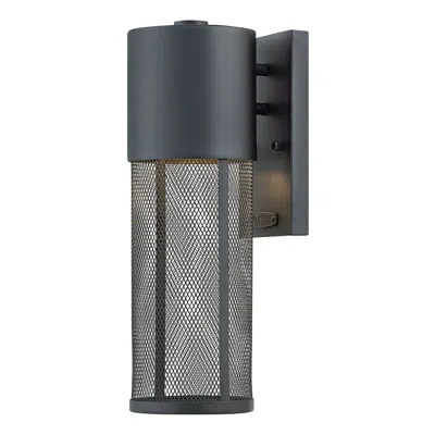 Hinkley Aria 15 1/2" High Black And Steel Mesh Outdoor Wall Light