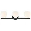 Hinkley Bath Mae Medium Three Light Vanity 24" Black