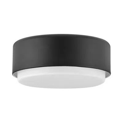 Hinkley Cedric 12" Wide Black Ceiling Light By  Lighting