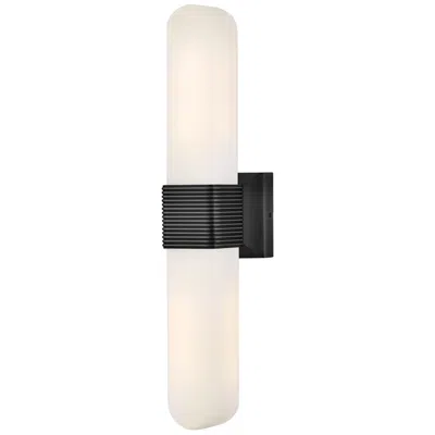 Hinkley Cotes 21"h Painted Black Oxide 2-light Wall Sconce
