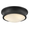 Hinkley Ellis Medium Flush Mount In Black