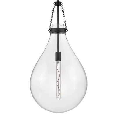 Hinkley Eloise 16-in Single Light Raindrop-shaped Pendant In Black