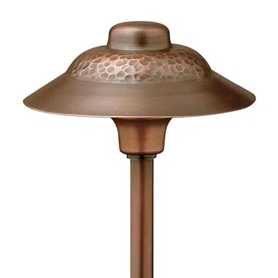 Hinkley Essence Olde Copper Low Voltage Metal Pathway Light