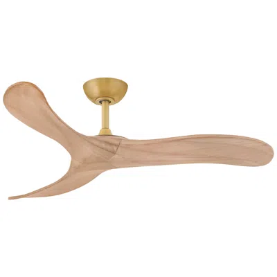 Hinkley Fan Swell 48" Smart Fan Heritage Brass