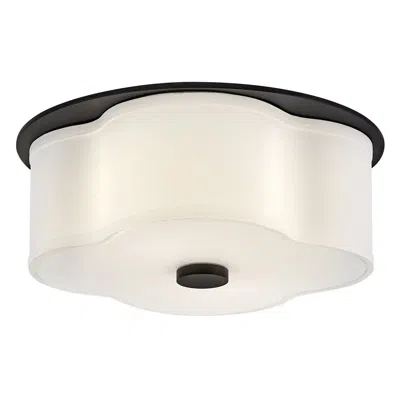 Hinkley Foyer Delaney Medium Flush Mount 14" Black