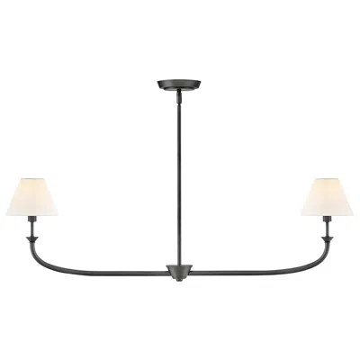 Hinkley Greta 41 1/4" Wide Blackened Brass 2-light Linear Pendant
