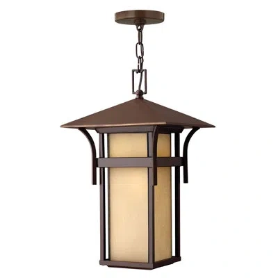 Hinkley Harbor 1 -bulb 19" H Outdoor Hanging Lantern In Anchor Bronze