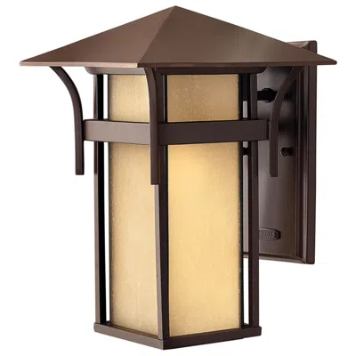 Hinkley Harbor 13 1/2" High Anchor Bronze Outdoor Wall Light