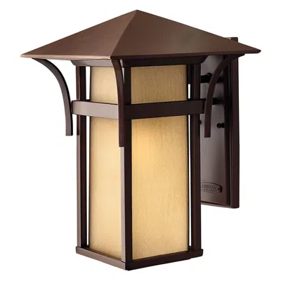 Hinkley Harbor Collection 16 1/4" High Outdoor Wall Light