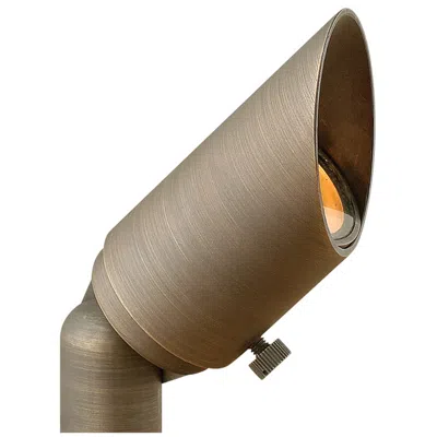 Hinkley Hardy Island 2 1/2" High Bronze Outdoor Spot Light