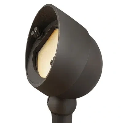 Hinkley Hardy Island Accent Spot Light Other Low Voltage