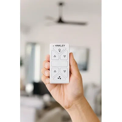 Hinkley Hiro Control Remote W/ Wifi For 72-in Indy Ceiling Fan