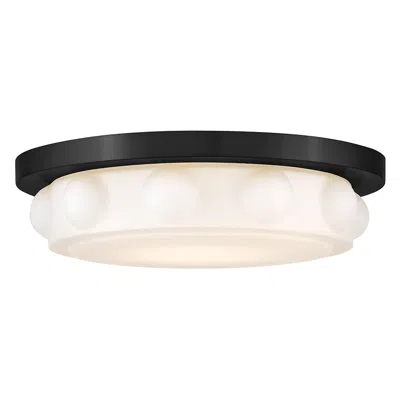 Hinkley Interior Zoey Medium Led Flush Mount 14" Black