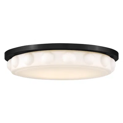 Hinkley Interior Zoey Medium Led Flush Mount 20" Black
