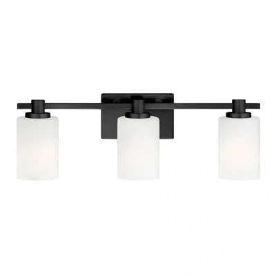 Hinkley Karlie Bathroom Vanity Light In Black