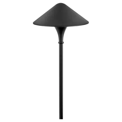 Hinkley Landscape Apex 120v Path Light 26.5" Black