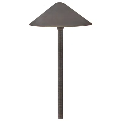 Hinkley Landscape Hardy Island 12v Large Path Light 27" Matte Bronze