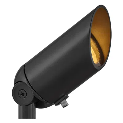 Hinkley Landscape Hardy Island Accent Spot Light 4w 5.75" Brass Satin