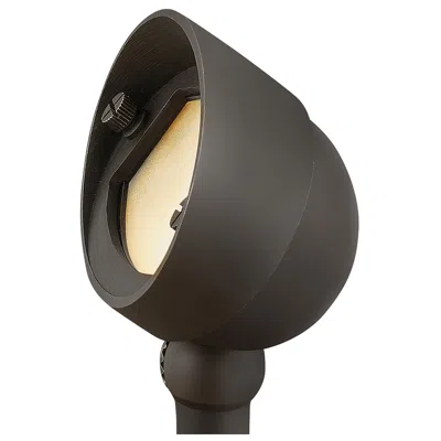 Hinkley Landscape Hardy Island Accent Spot Small 2.75" Brass Satin Black