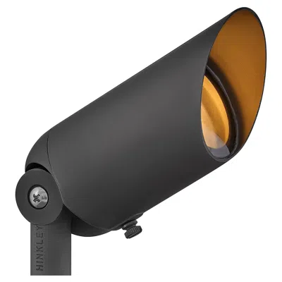 Hinkley Landscape Lumacore Hardy Island 2700k Spot 5.75" Brass Satin Black