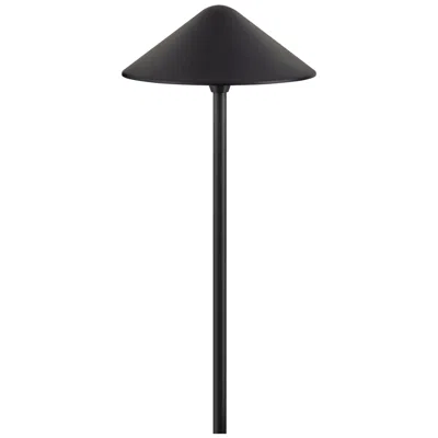 Hinkley Landscape Springfield 12v Large Path Light 27" Black