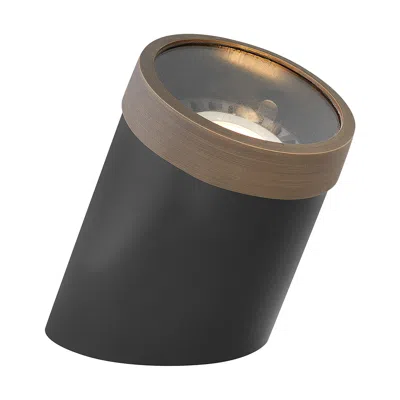 Hinkley Landscape Well Light Par36 Flat Top 5.75" Matte Bronze