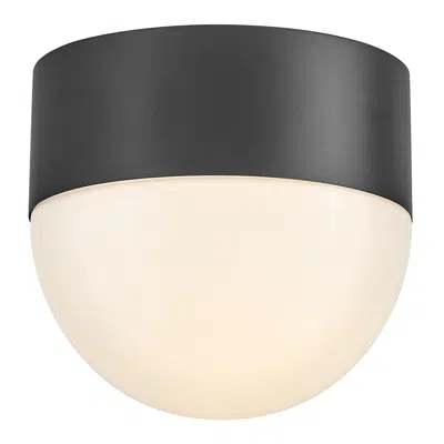 Hinkley Lark Bardi Outdoor Small Flush Mount 8" Black