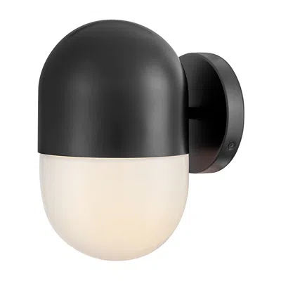 Hinkley Lark Bardi Outdoor Small Wall Mount Lantern 10" Black