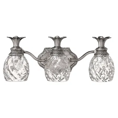 Hinkley Lighting Plantation 21" Polished Antique Nickel Bath Light