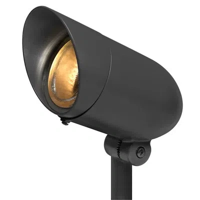 Hinkley Line Voltage 120v Small Landscape Accent Spot Light In Matte Black;satin Black
