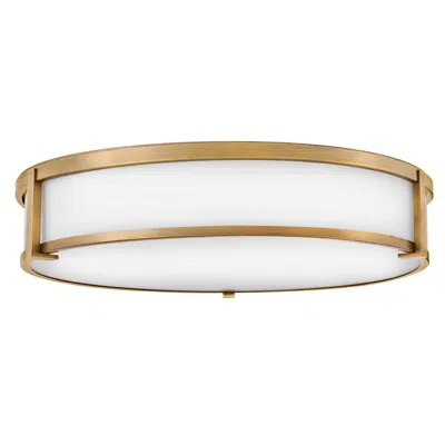 Hinkley Lowell 24" Wide Brushed Bronze Ceiling Light