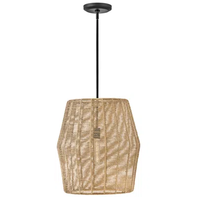 Hinkley Luca 20" Wide Black And Camel Pendant Light