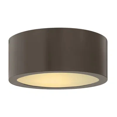 Hinkley Luna 1 - Bulb Outdoor Flush Mount In Bronze