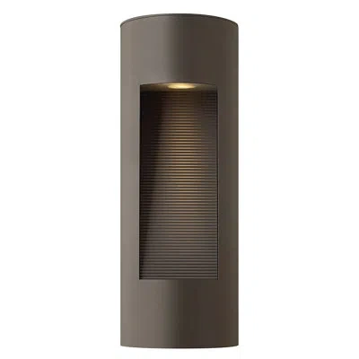 Hinkley Luna 2-light Outdoor Flush Mount In Bronze