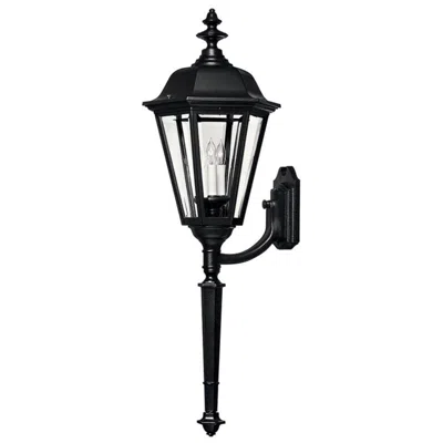 Hinkley Manor House 41" High Black Outdoor Wall Light