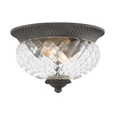 Hinkley Plantation 12"w Black 2-light Outdoor Ceiling Light