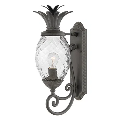 Hinkley Plantation 21 1/4" Black And Pineapple Glass Outdoor Light