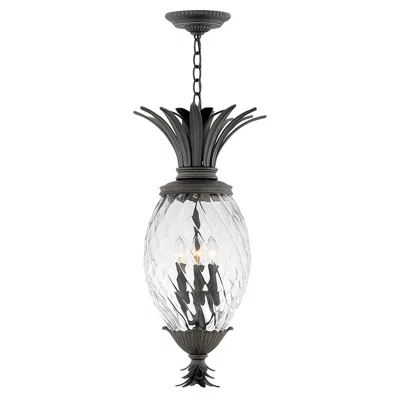 Hinkley Plantation 28 1/2" High Black 4-light Outdoor Hanging Light